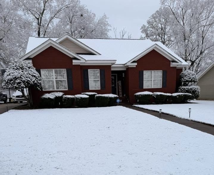 Tera Scott tweet media