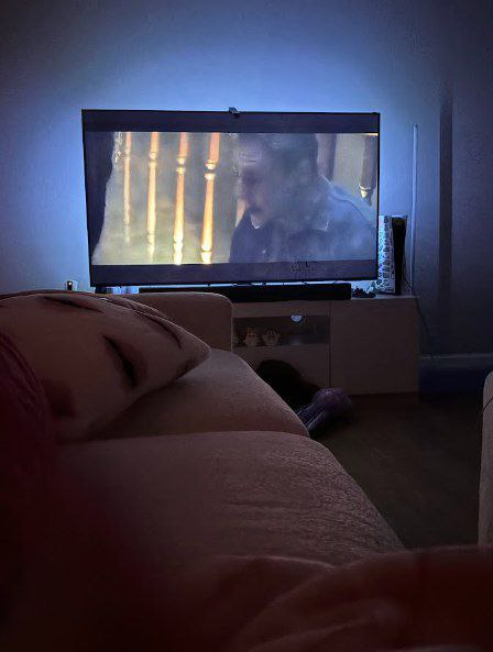 AliceVibe07's tweet photo. Monday's are for bedrotting!! https://t.co/Q9gzW7lv5b