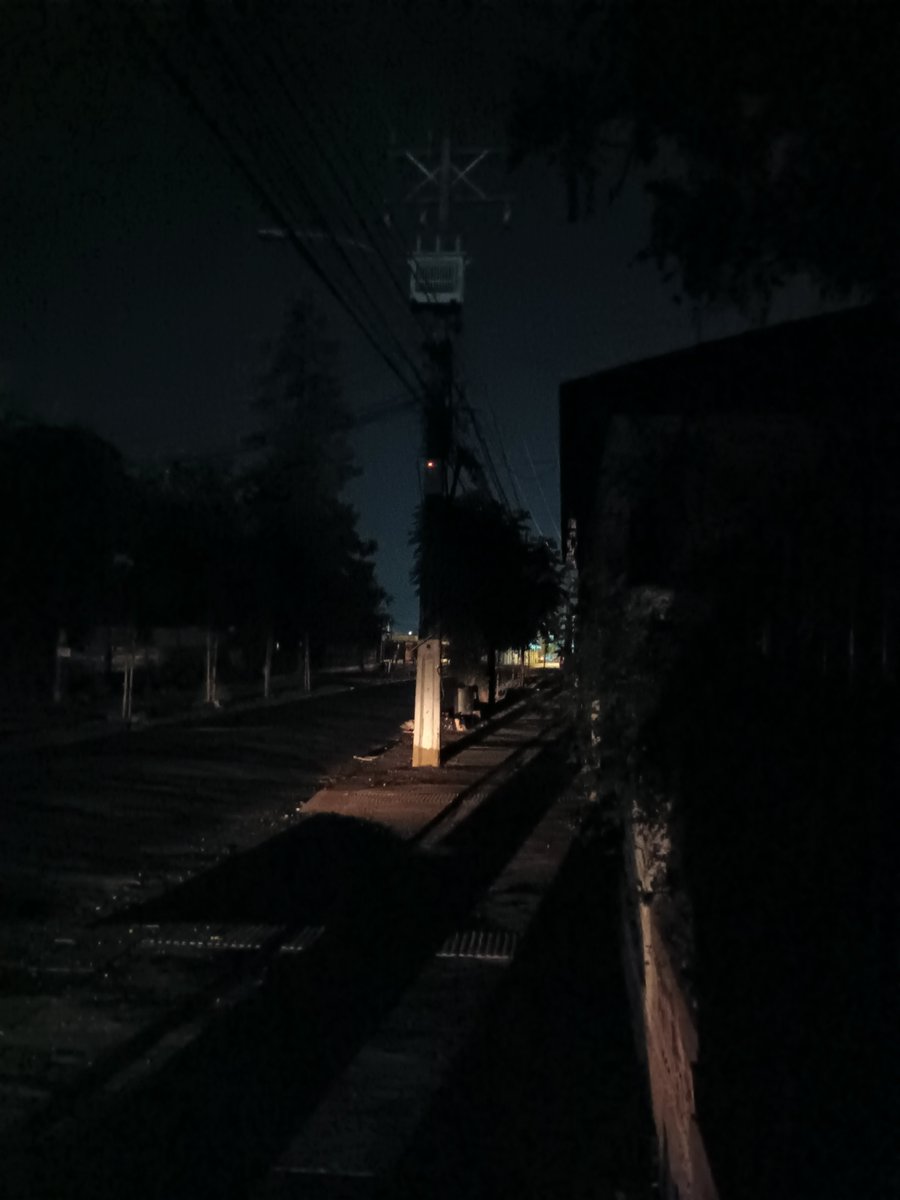 Poncholato tweet media