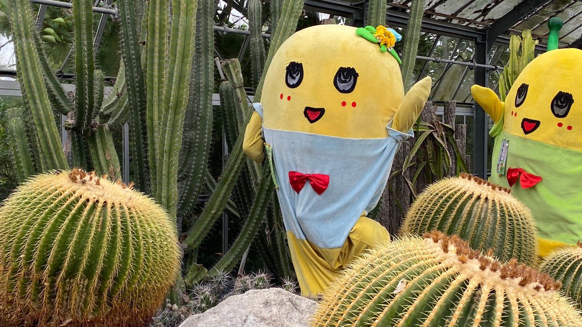 ふなっしー💙 (@funassyi) / Posts / X