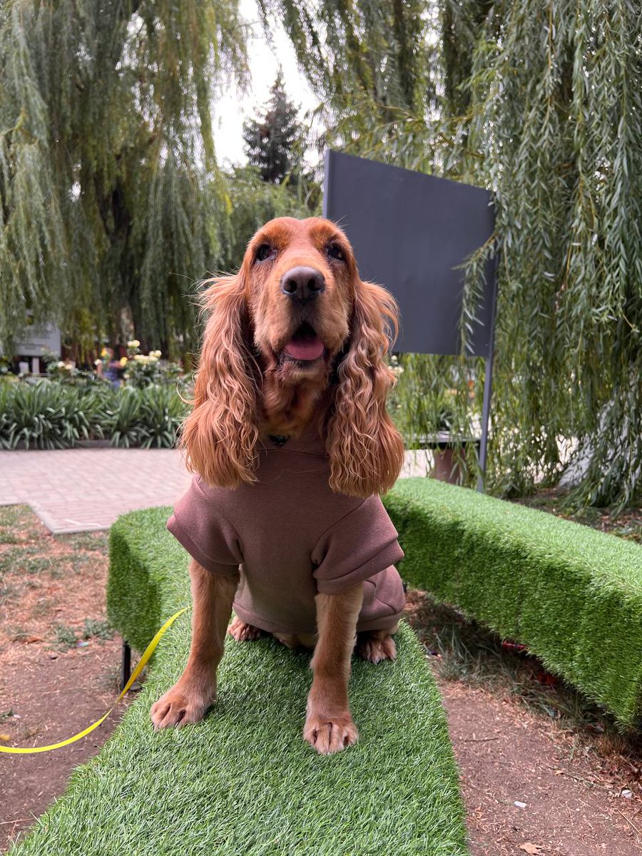 🐾 Discovery at Camp Haven   Found this moment on a quiet trail — a dressed explorer on a mossy bench, framed by willow trees. Nature meets charm, and the forest watches silently. <a href="/DataHaven_xyz/">DataHaven 🫎</a> #CampHaven #PatternHunter #PetQuest #CryptoCamp #LoreDrop #Web3Art #DataHaven_xuz