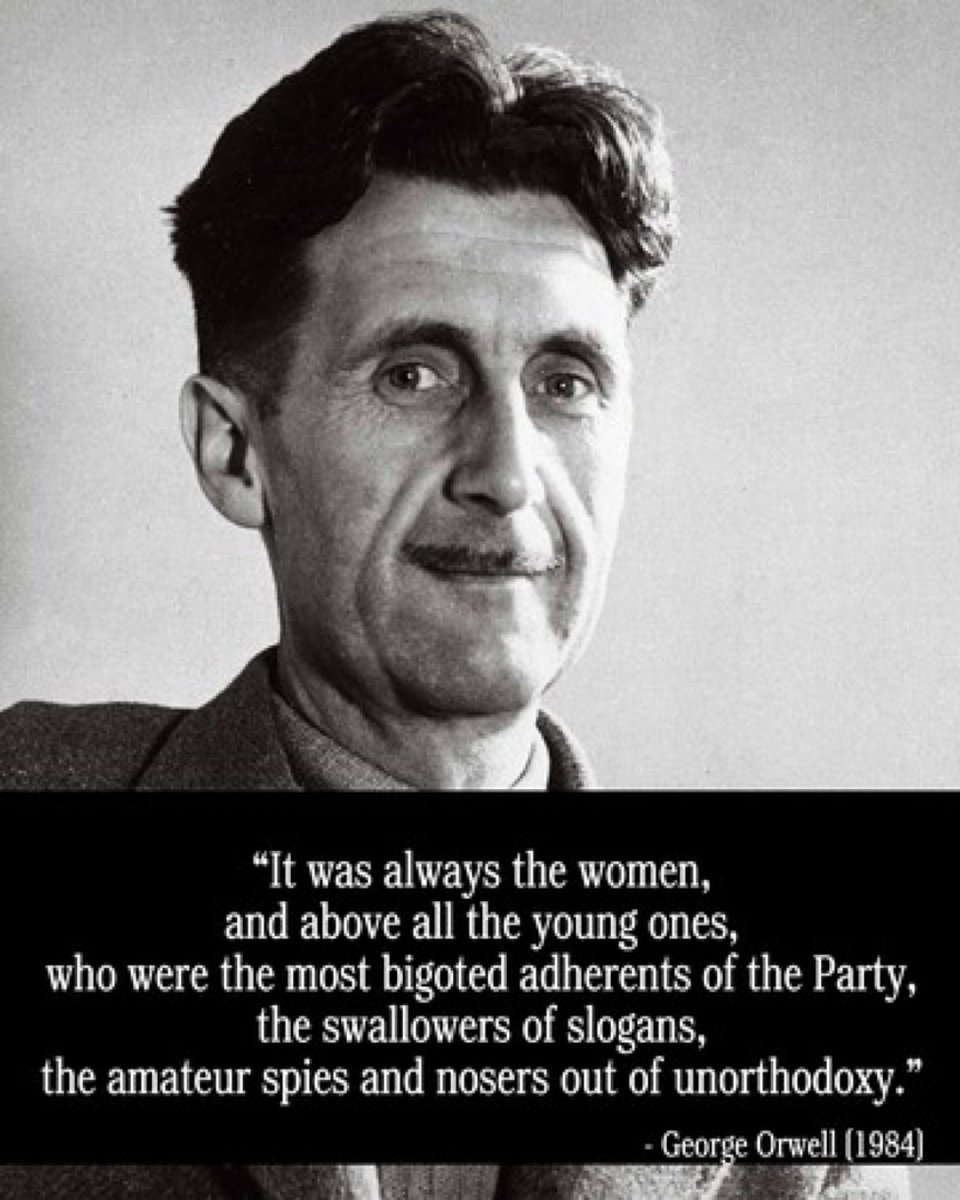 PMgeezer's tweet image. It’s always the women. So easy to manipulate