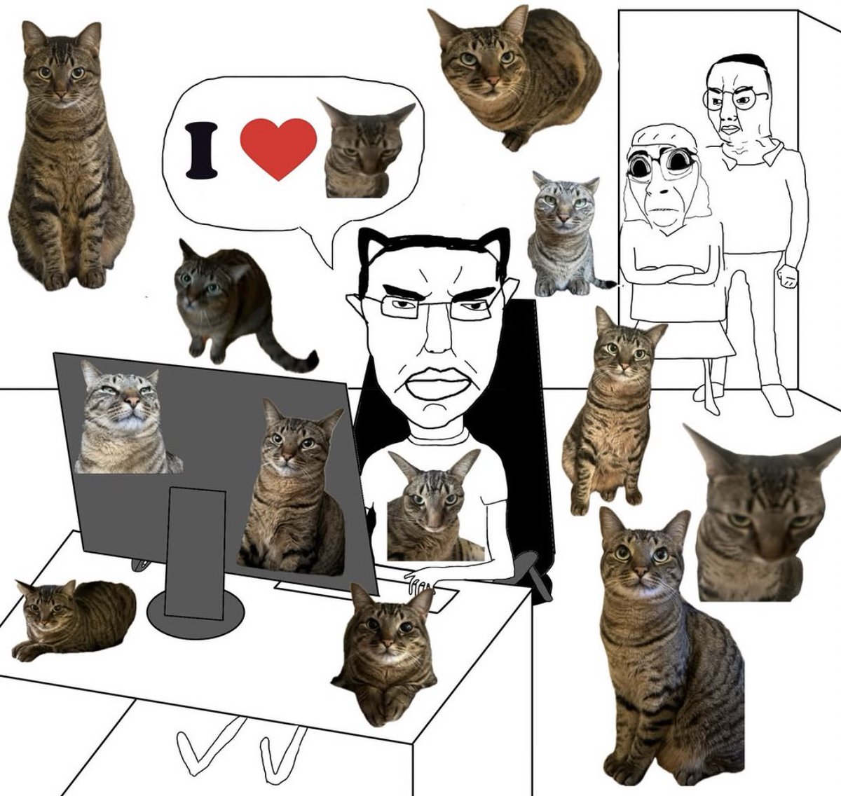 gatos fazendo gatices tweet media