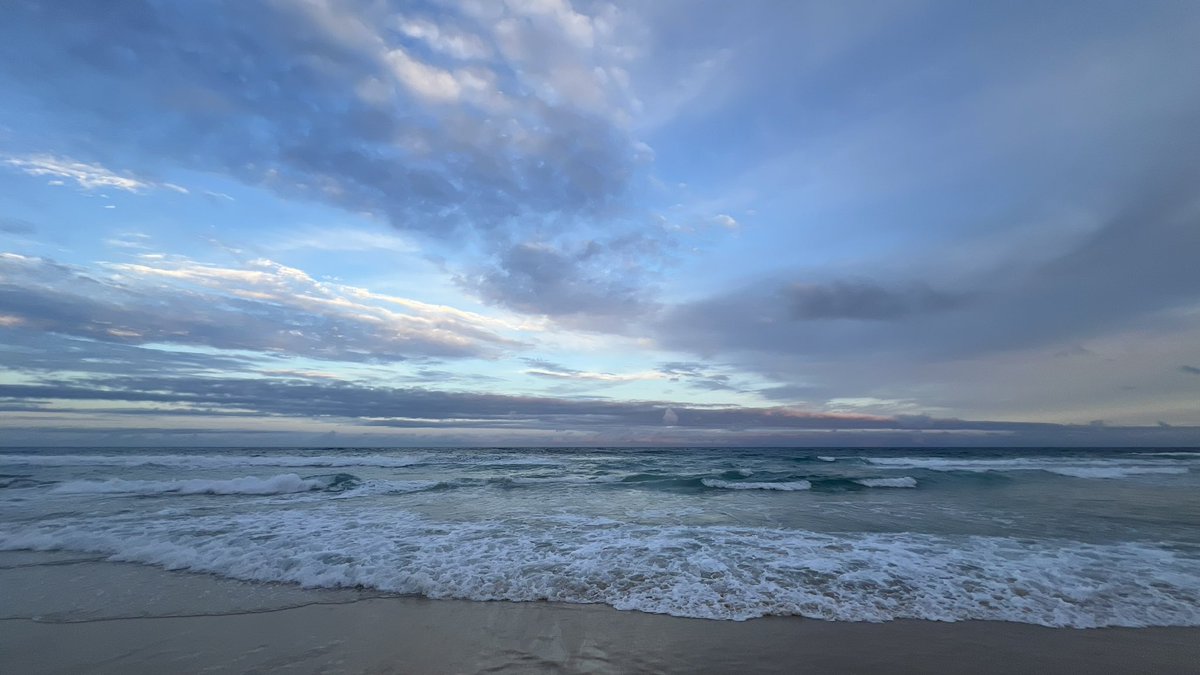 MathildeTexier's tweet image. The end of a busy week at the Magic Millions @mmsnippets 🏇🏻🩺🩻🌊🌞🏖️🌅

#Horses #Veterinary #NotAnOfficeJob #MyLife #MyWork