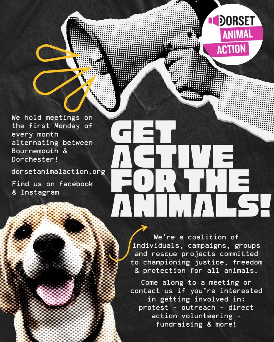 SJRX1971's tweet photo. #endanimaltesting #animalaction https://t.co/zpeyn2wX7S
