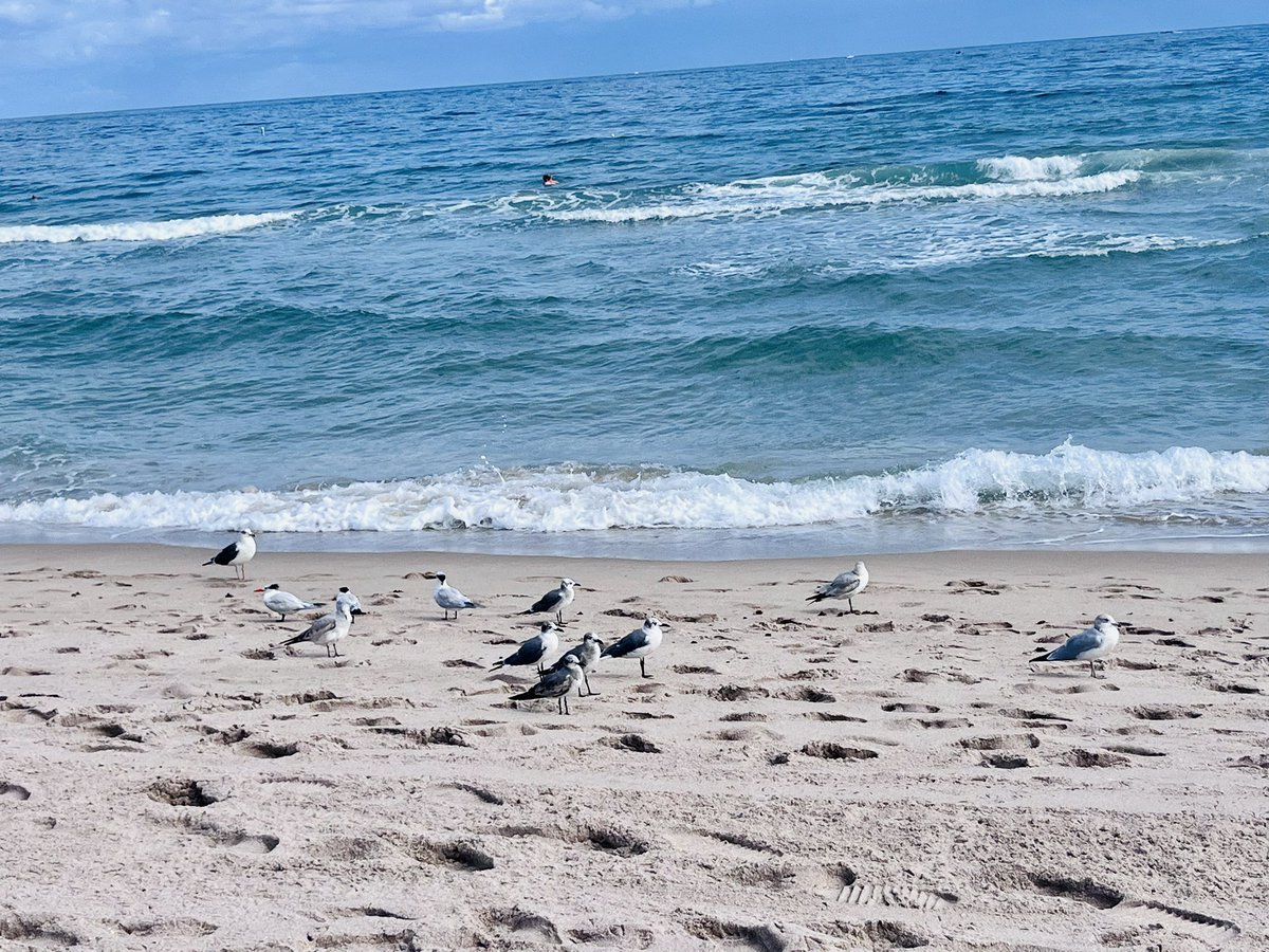 Quantumpris's tweet image. Beautiful view from my Saturday evening. En el mar la vida es más sabrosa ❤️