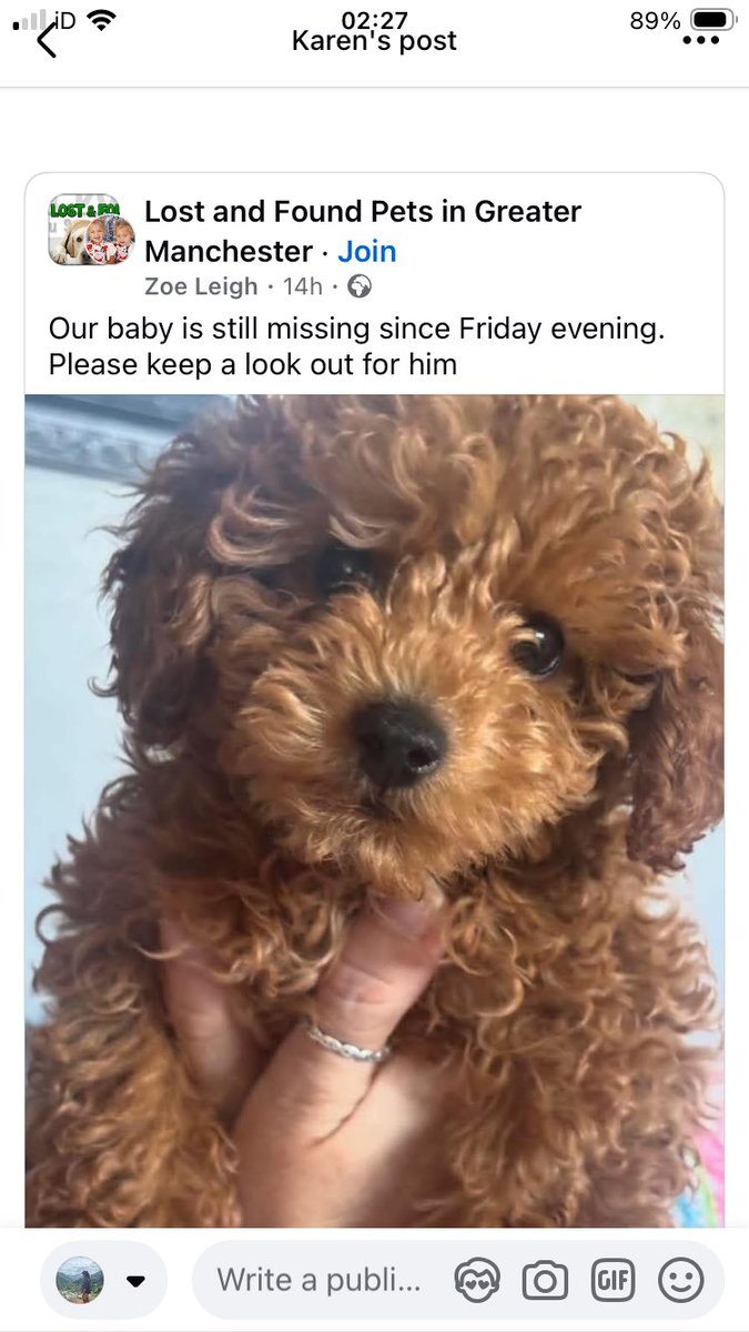 Please share -missing 

facebook.com/share/p/1H5sCp…