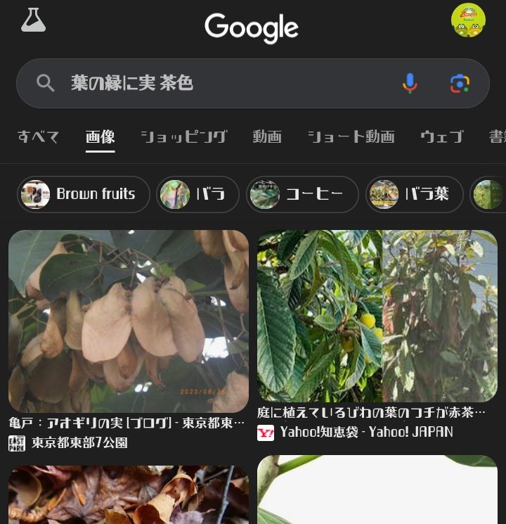 なのはページ　他の方は購入しないで下さい 手掛かりのワードで辿り着けそうなもんやけどなぁ 普通にGoogle画像