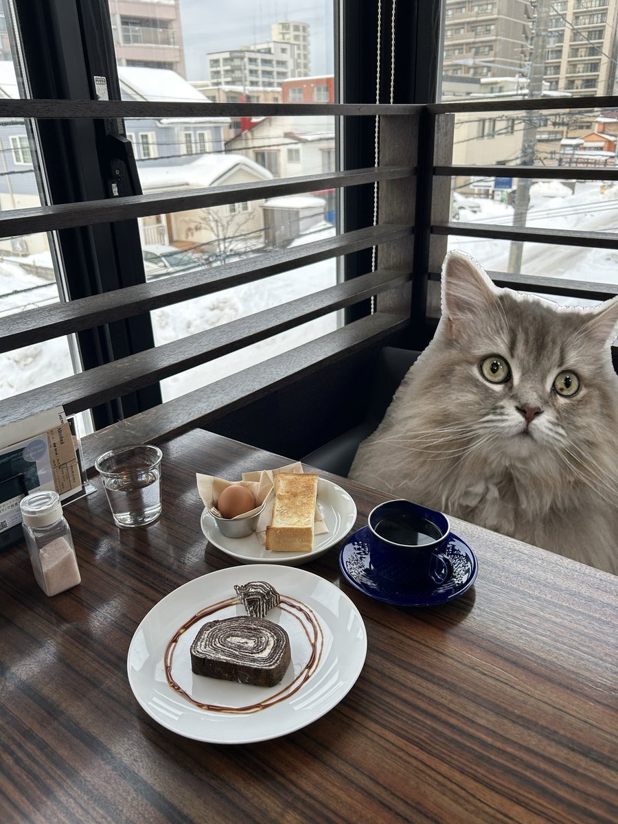 わたあめよっとページ わたあめ (@wataamedetyuyo) / Posts / X