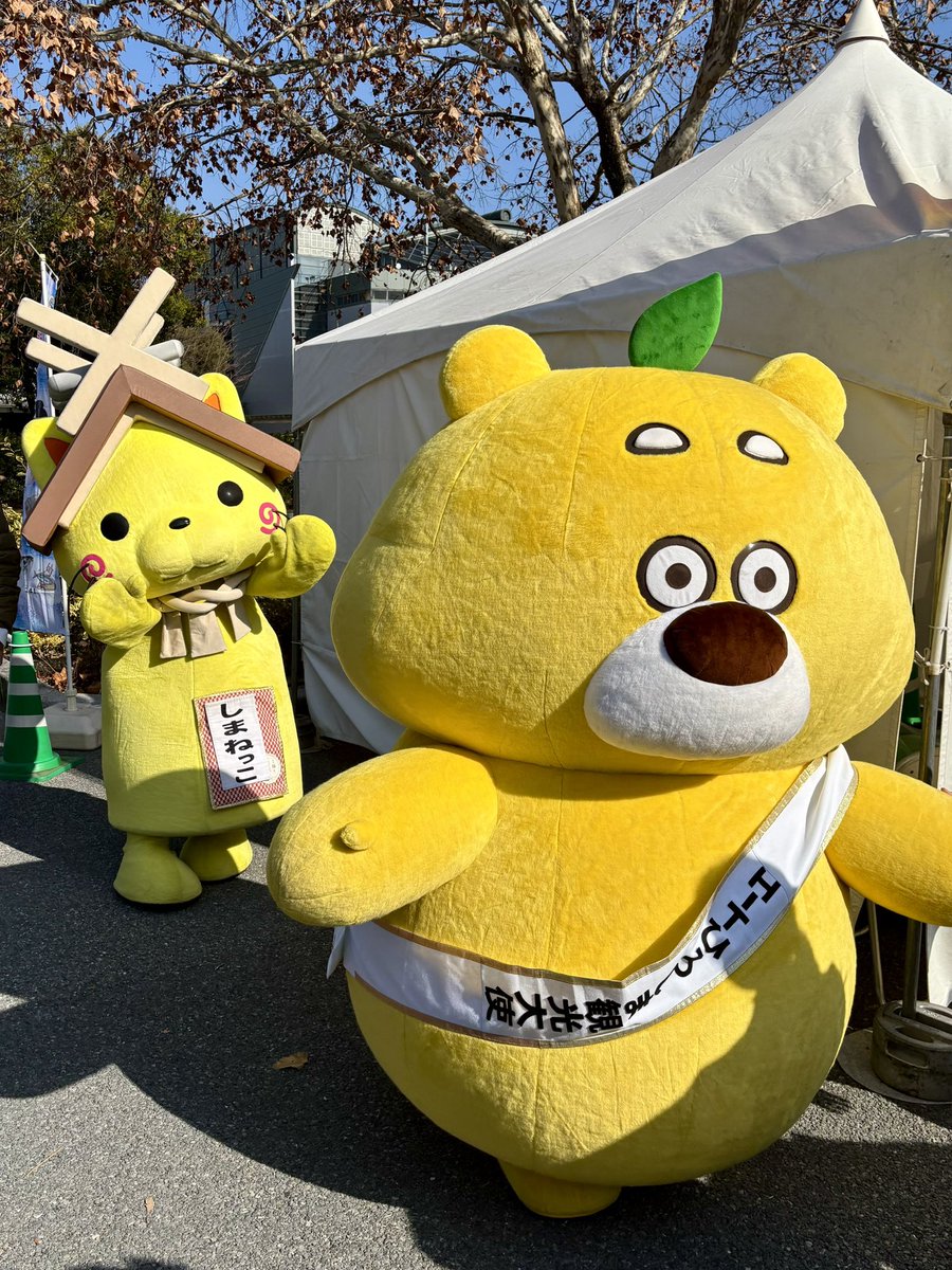 じゅるりにゃ(๑º﹃º​๑)🍋 にゃんにゃかおいしそ……にゃ！ 見てたにゃけ