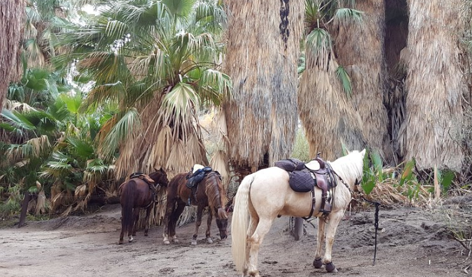 sdtmanager's tweet image. Going on a cooler day, we stayed for a rather short visit, probably would have enjoyed better on a slightly warmer day.