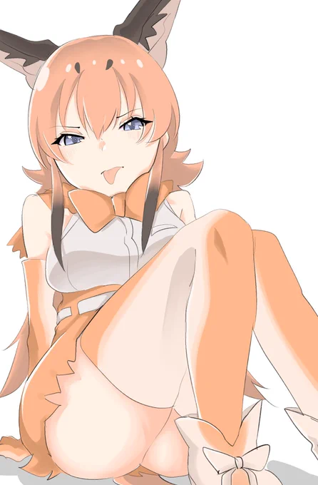 カラカルだ