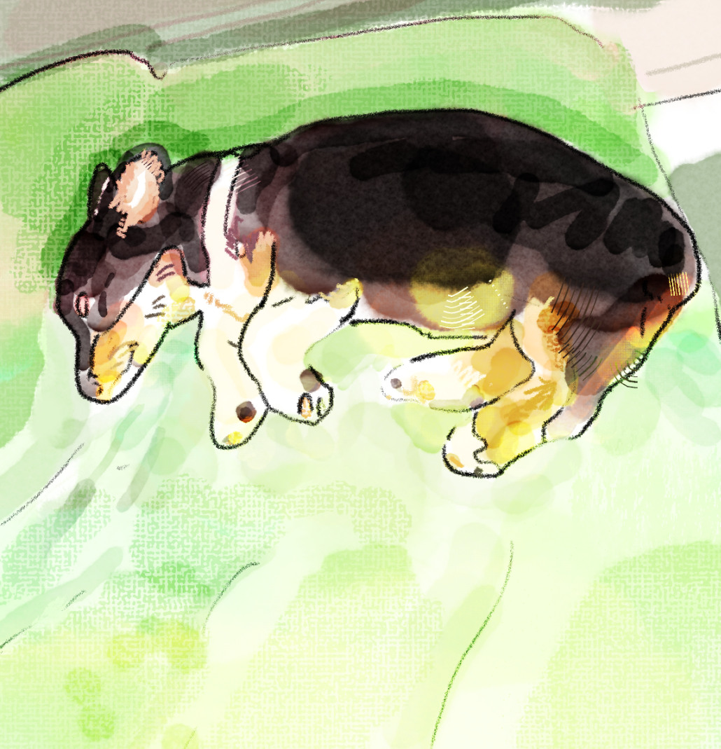 「Day0565」|オレンジ君のイラスト