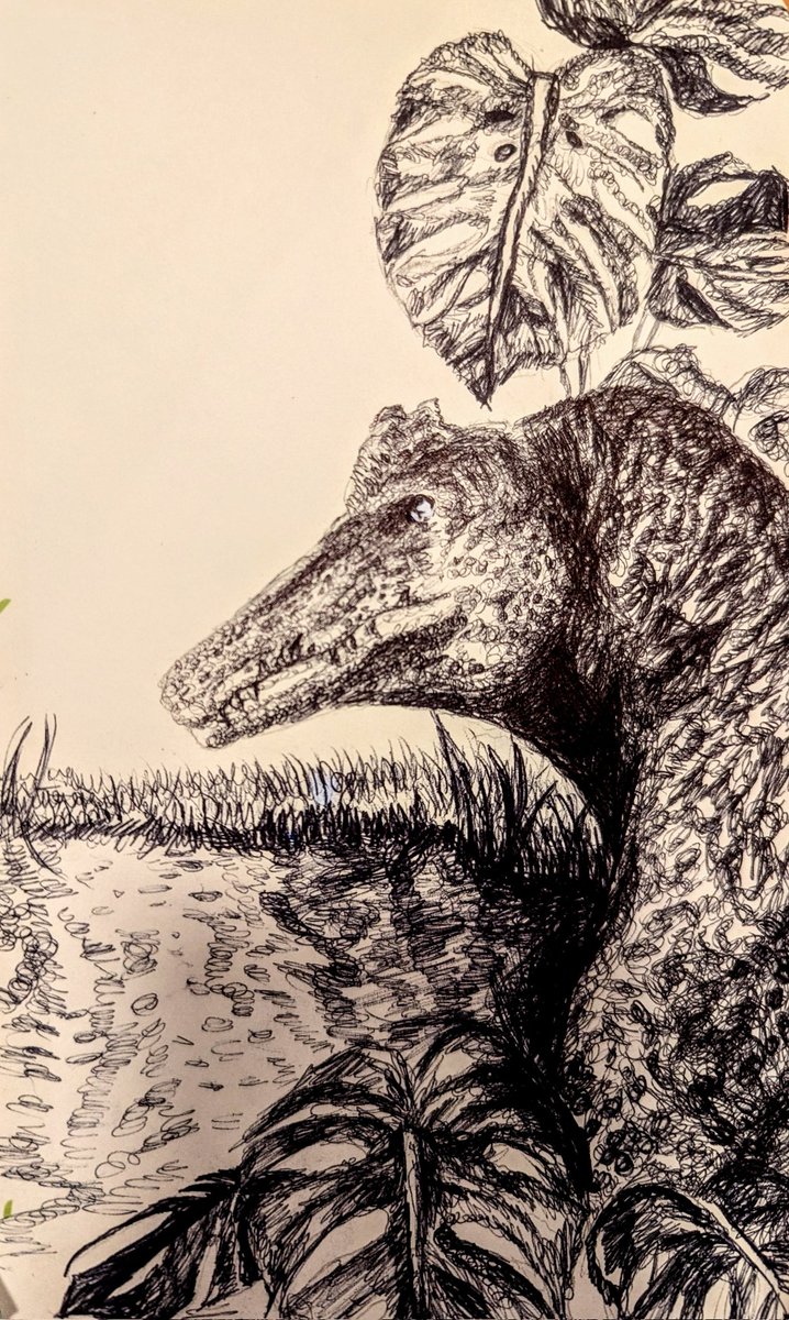 Traditional Spinosaurus art done with pen! 

#paleoart #spinosaurus