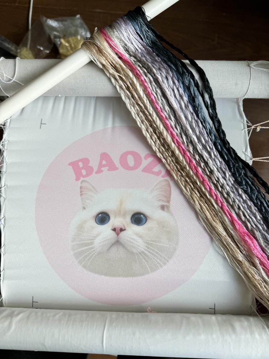 RunSakura7's tweet image. 友達の猫にちょっとしたプレゼントを準備しています