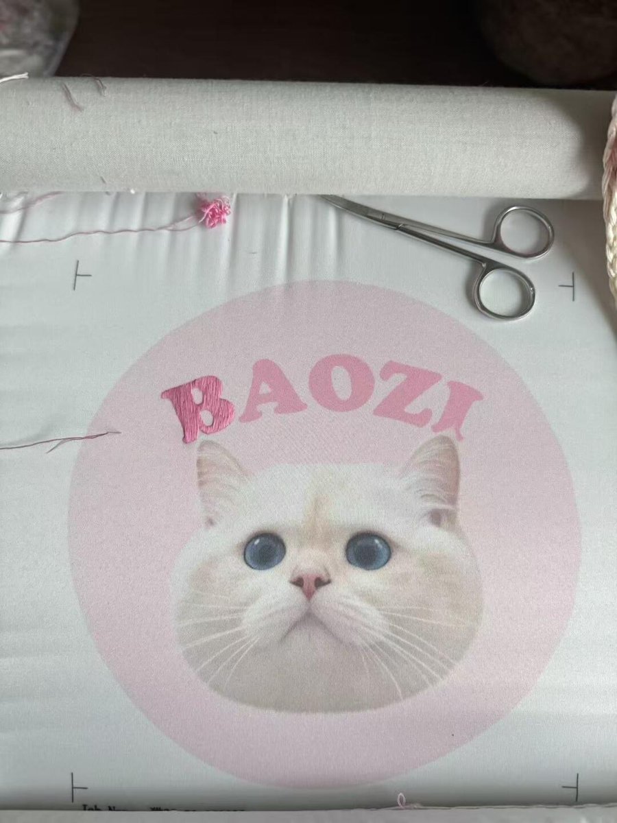 RunSakura7's tweet image. 友達の猫にちょっとしたプレゼントを準備しています