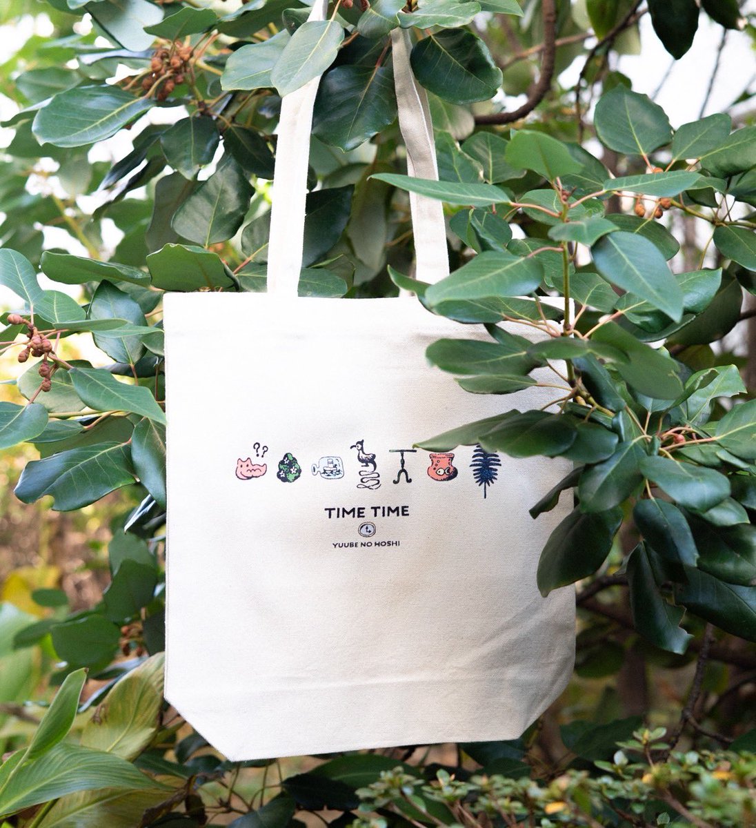 ゆうべの星 tweet media