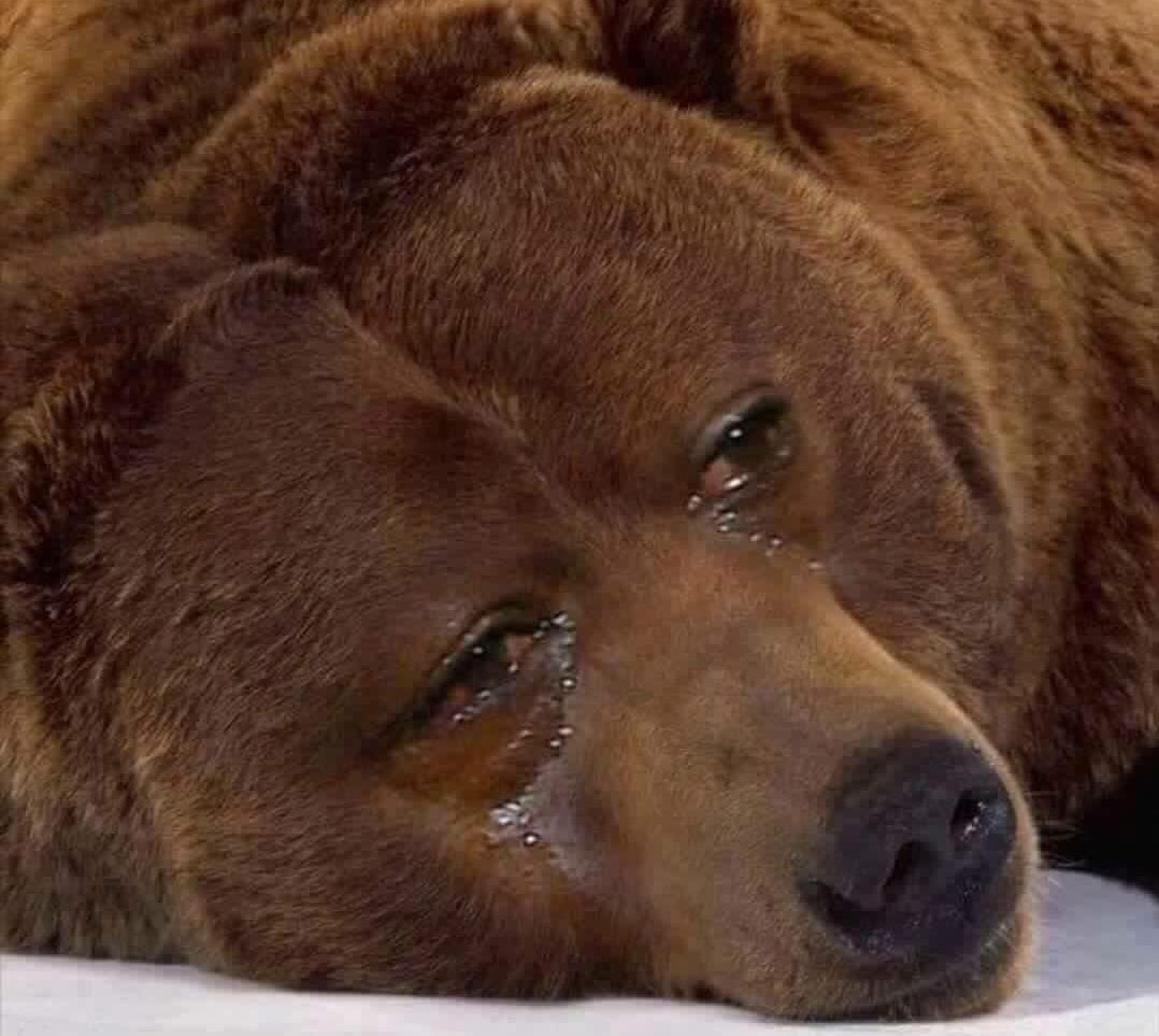 Post by #ZolaPaw⚜️ on X: 😂😂😂😂