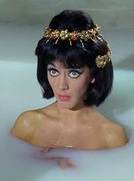 every day counts tweet media