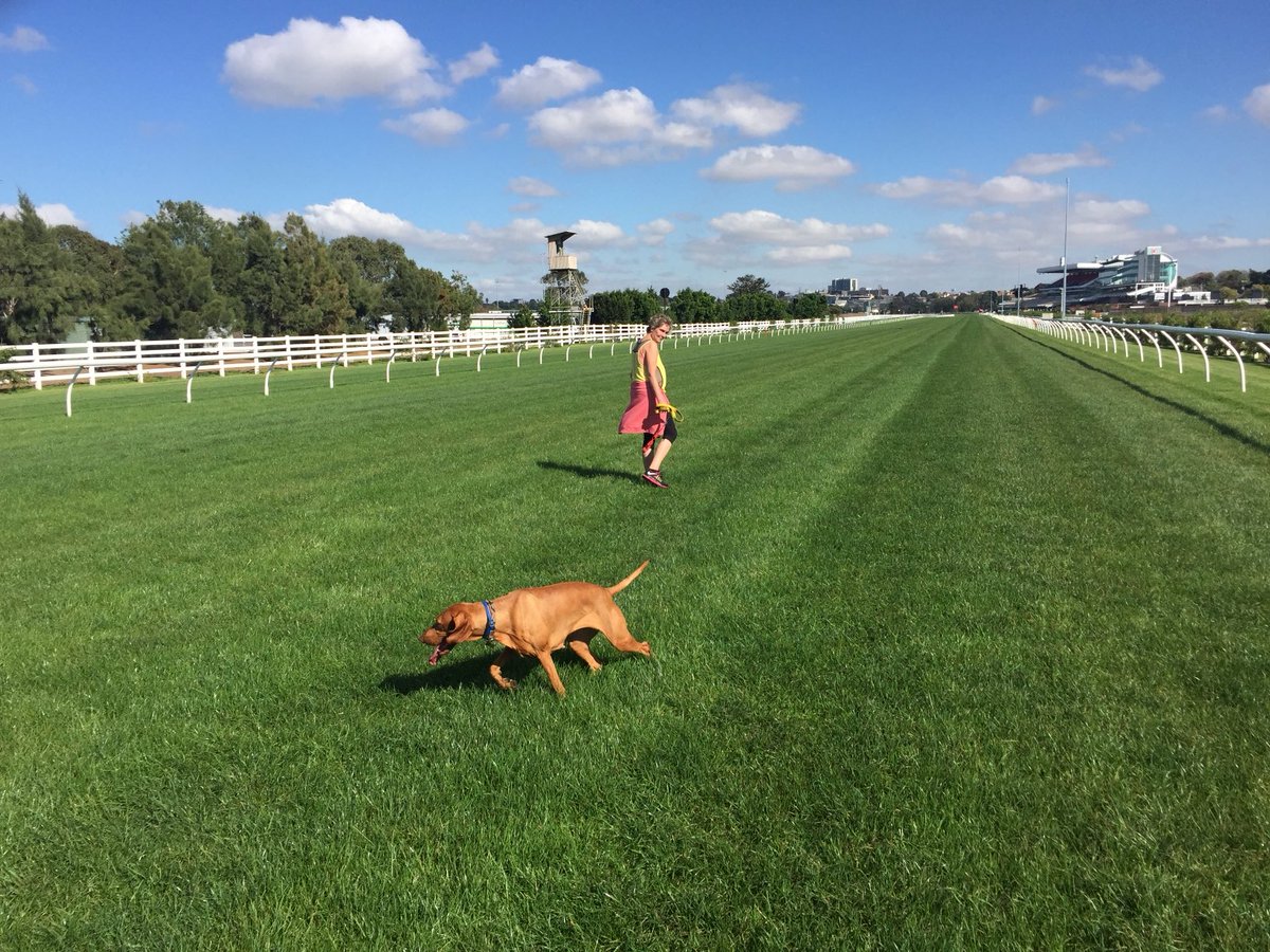 Mike Goodie tweet media