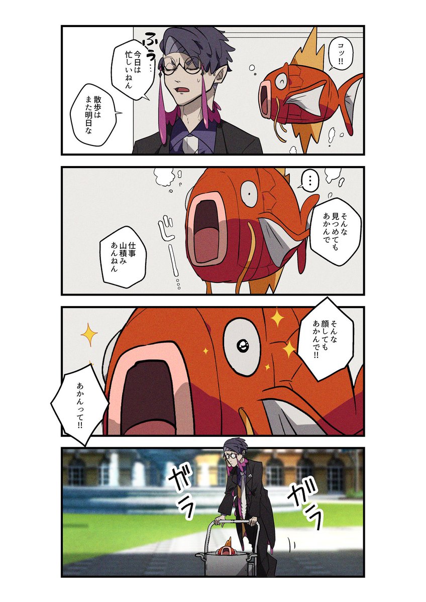 押しに弱い男😂 コイキングの粘り勝ち可愛い 散歩の仕方がコイキングに配慮された形で優しい