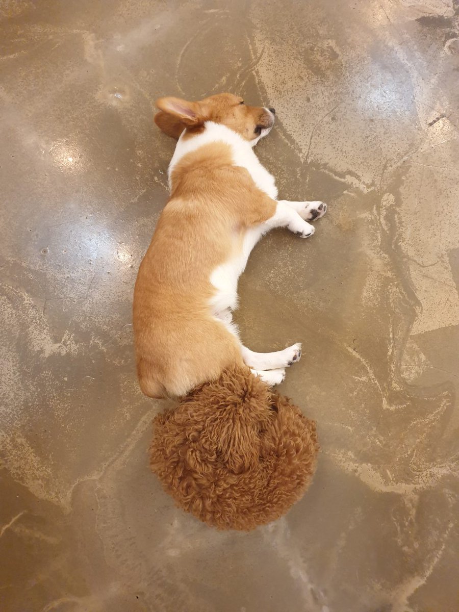 우리아들도 이렇게 어리고 날씬했었구나