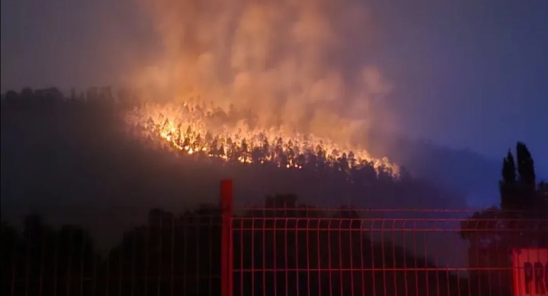 ALERTADETEMBLOR's tweet photo. 🔥EVACUAR / Sector San Luis comuna de Tomé. 

Nos envían estas imágenes hace pocos minutos atrás. 

Revisa el incendio en vivo aquí https://t.co/IBvmZ00lHg https://t.co/MHuPh1R2Dm
