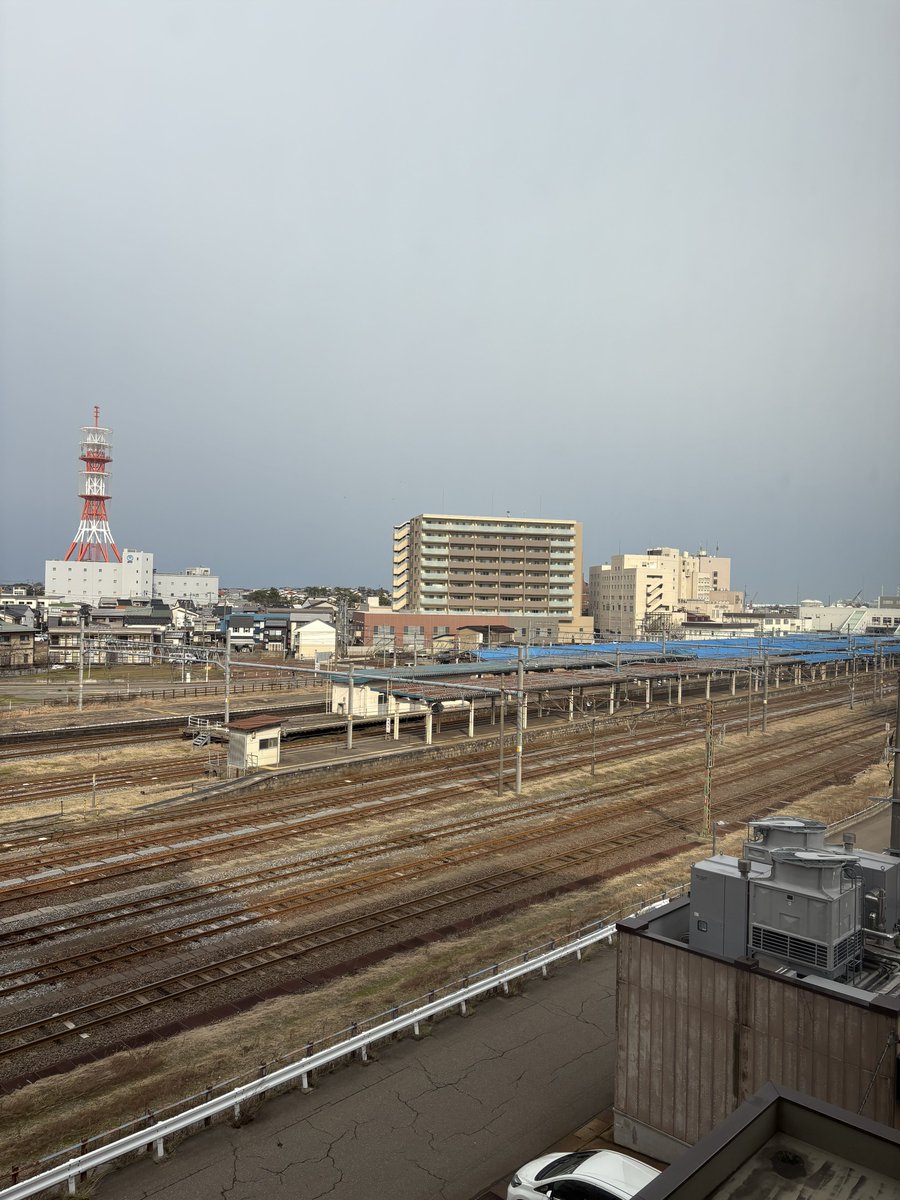 スズデラマリ (@marisuzudera) on Twitter photo 