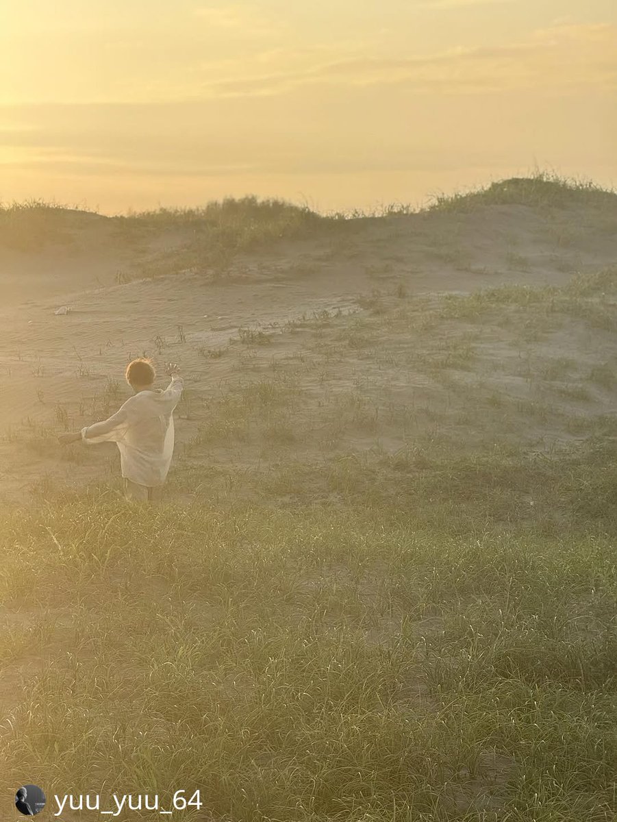 MickyDog tweet media