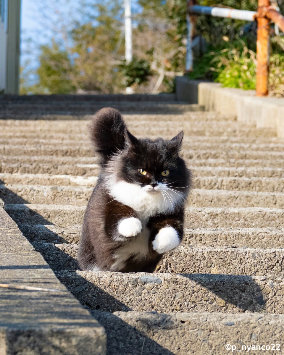 うちにも来てくださいな😺✨❇️