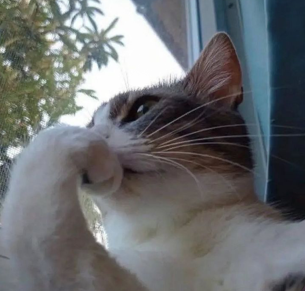 Cocaine was found at
Biden's house. A dead body was found at Obama's house. A male prostitute was found at Pelosi's house. An illegal server was found at Clinton's house. A dead, drugged naked boy was found in Adam Schiffs Standard Hotel room bed. So the FBI raided Trump's house.