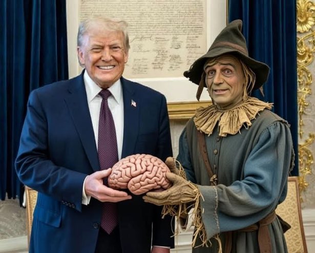 FedTimeBrian's tweet photo. @AntiTrumpCanada @Smil3yAngel https://t.co/GjZPzcXutO