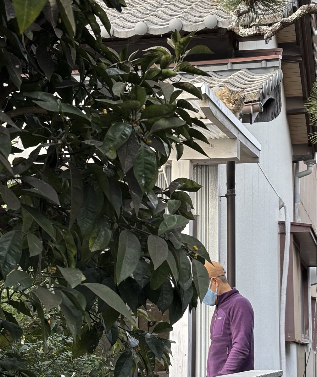 EntwoStudio's tweet image. 温いから気持ちはわかるけど、
部長、屋根が落ちそうです😅