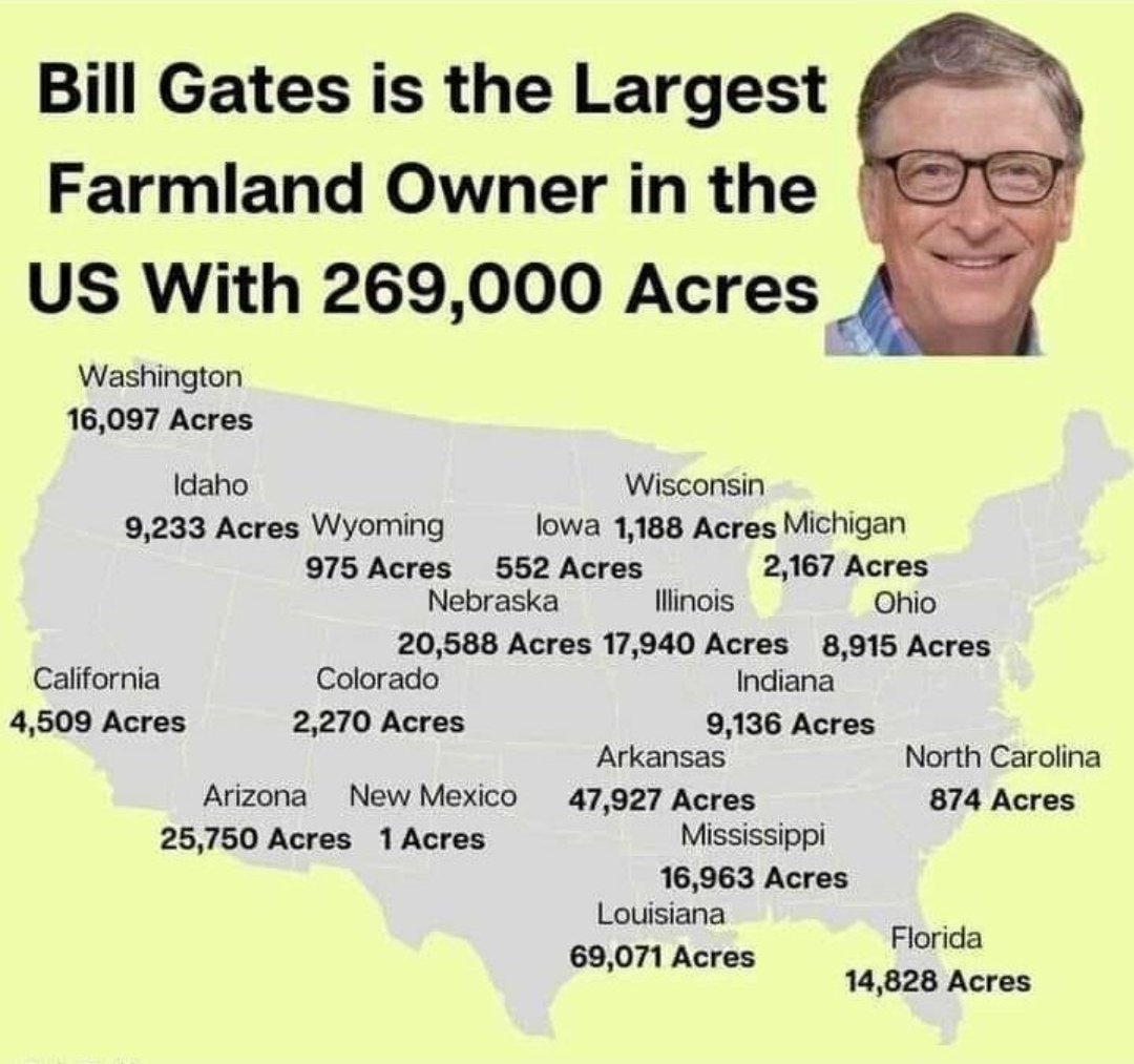 Dillon Dualy tweet media