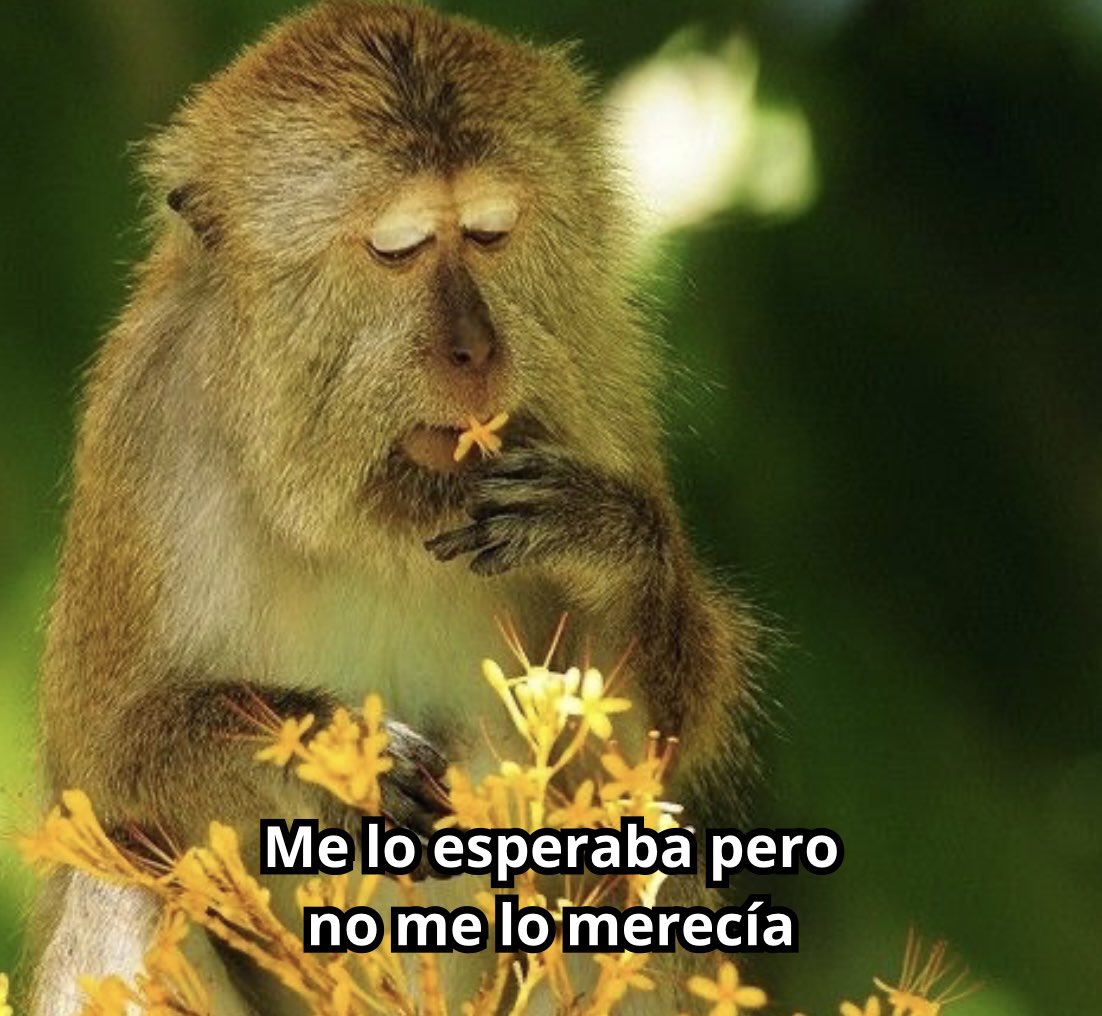 conoloracigarro's tweet image. 