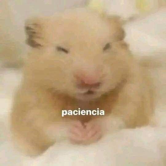 Ela_br7's tweet photo. Fabricio Alvarado habló de todo menos sobre cómo arreglar lo del acoso? Solo porque si eso se arreglara el no podría estar donde ESTÁ IMPUNE!! #DebateOPA https://t.co/f7bYrur80O