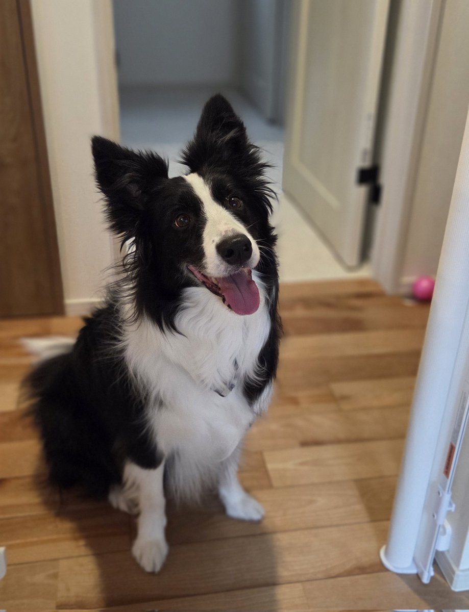 なつ☺︎🌻🍓‎🤍 (@natsu72__mm) / Posts / X