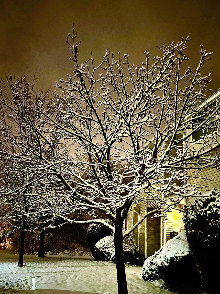 Winter weather makes a return to NJ. Accumulation  is minimal. Yet traffic on well brined 50 mph highways moved bumper to bumper at 25-30 mph and even the diner I frequent Sunday nights was closed. Imagine if everything stopped like this in MI when there was minimal snowfall!