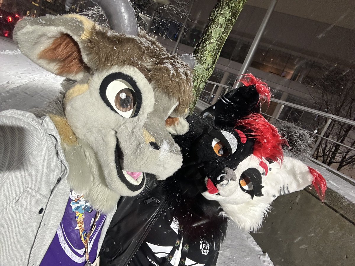 Torgore 🐐 tweet media