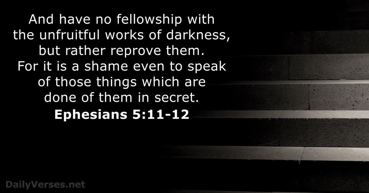 Dillon Dualy tweet media