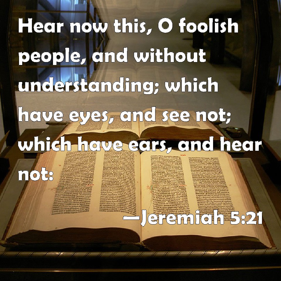 Dillon Dualy tweet media