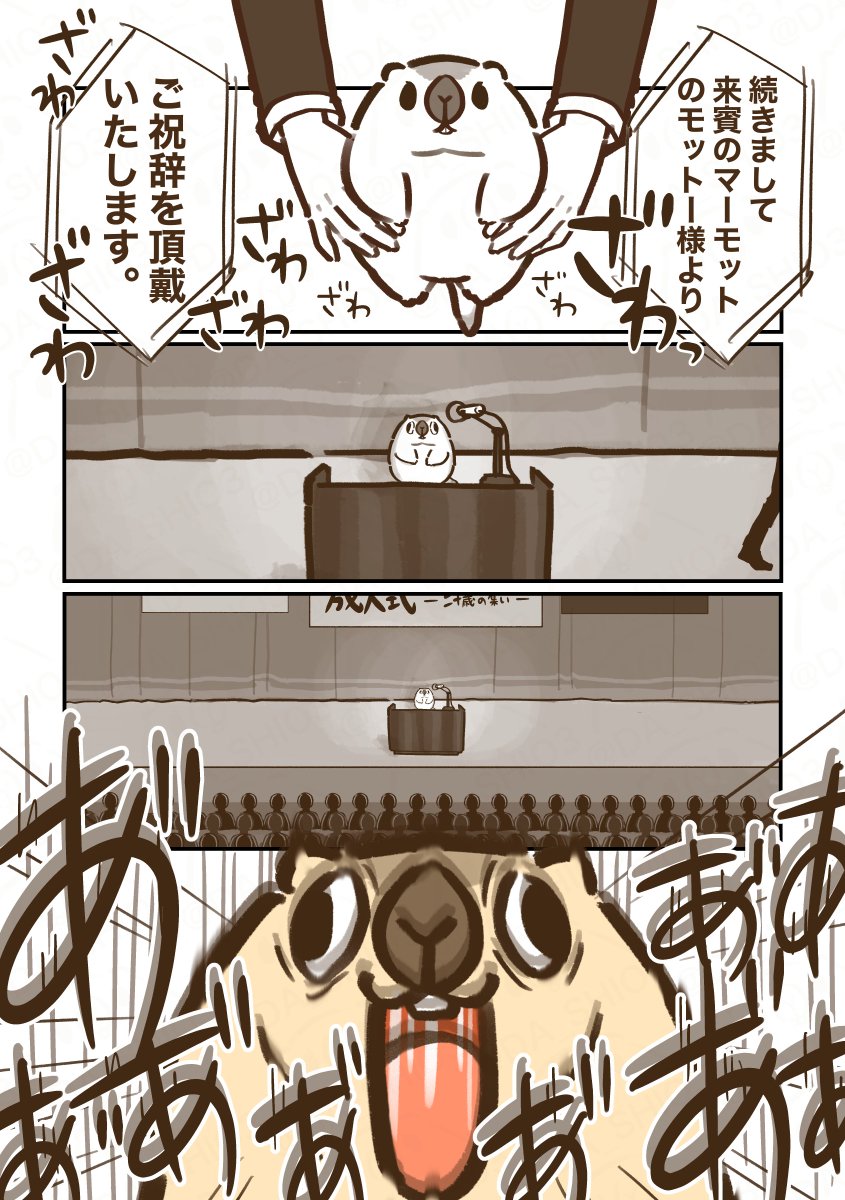 ダーシオ (@DA_SHIO3) / Posts / X