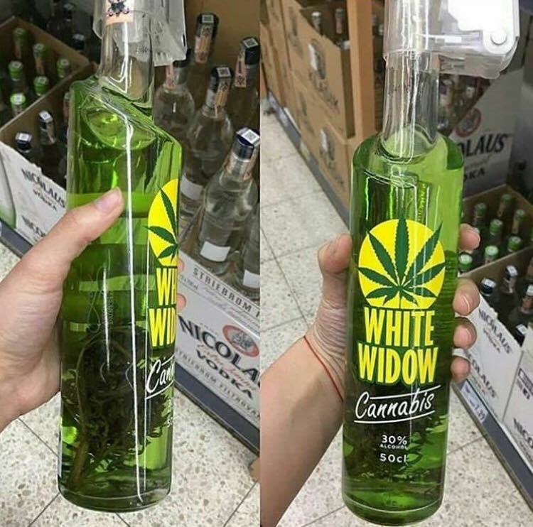 420 NIGHTLIFE (@420nightlife) on Twitter photo 