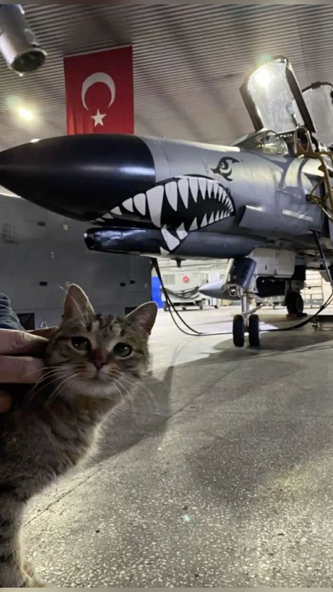 TurkishArc's tweet image. Turkish Air Force will protect Baltic airspace under a NATO mission.