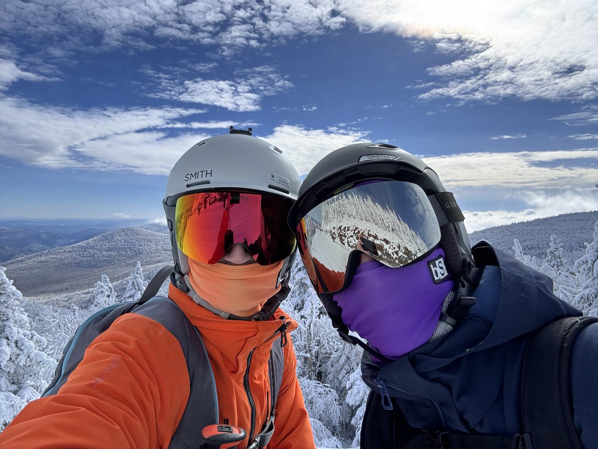 Avi Fox🍊🦊 tweet media