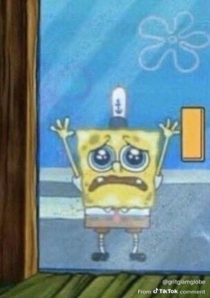 ⋆˚࿔ cat 𝜗𝜚˚⋆ tweet media