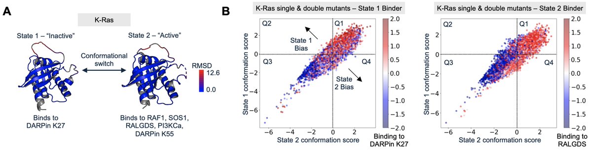 Peter E Cavanagh tweet media