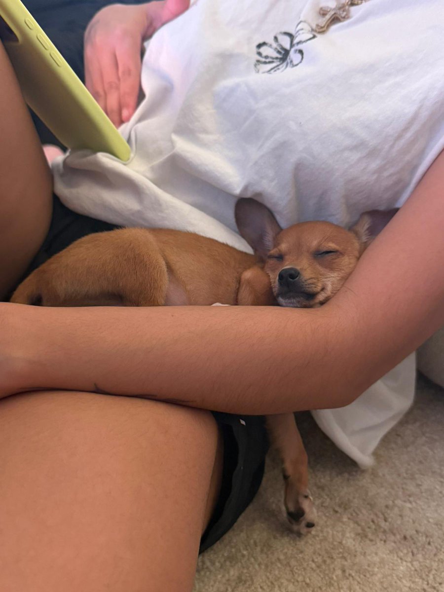 sofiii_nv's tweet image. 🥹🥹