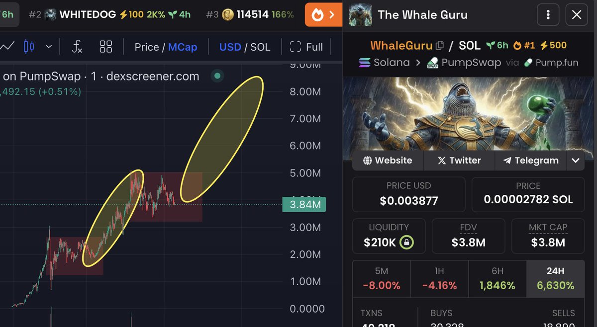 $WhaleGurur= looks unstoppable.

You just can’t fade the fact that is going to be the fastest token to $100 MILLION market cap.

$Whaleguru IS WAITING FOR $Whitewhale

With only 6 hours, it's at 4m mc

I’ll give away $3,000 worth of $whaleguru, repost, like and drop SOL address.