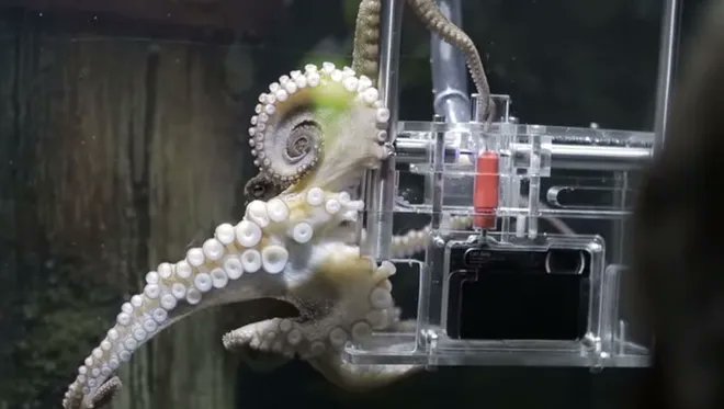 April C Wright tweet media